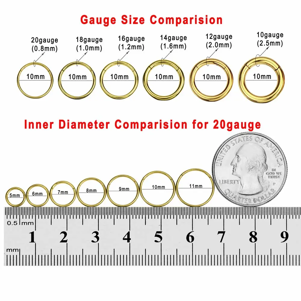 FANSING Men Women 316L Surgical Steel Hinged Nose Rings Hoop for Nostril Septum Cartilage Helix Daith Tragus Rook Conch Lip Ear Lobe Piercings