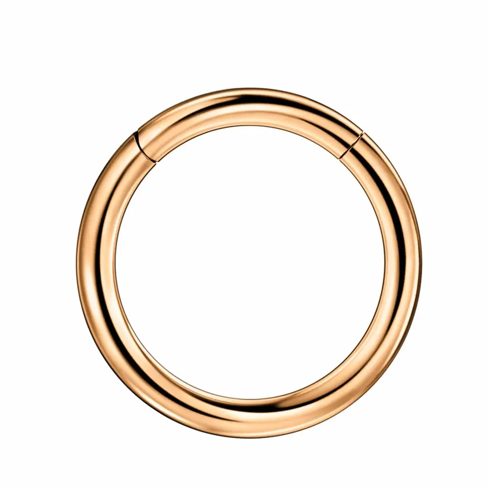 FANSING Men Women 316L Surgical Steel Hinged Nose Rings Hoop for Nostril Septum Cartilage Helix Daith Tragus Rook Conch Lip Ear Lobe Piercings