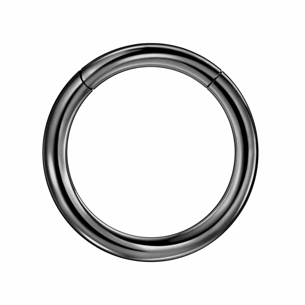 FANSING Men Women 316L Surgical Steel Hinged Nose Rings Hoop for Nostril Septum Cartilage Helix Daith Tragus Rook Conch Lip Ear Lobe Piercings