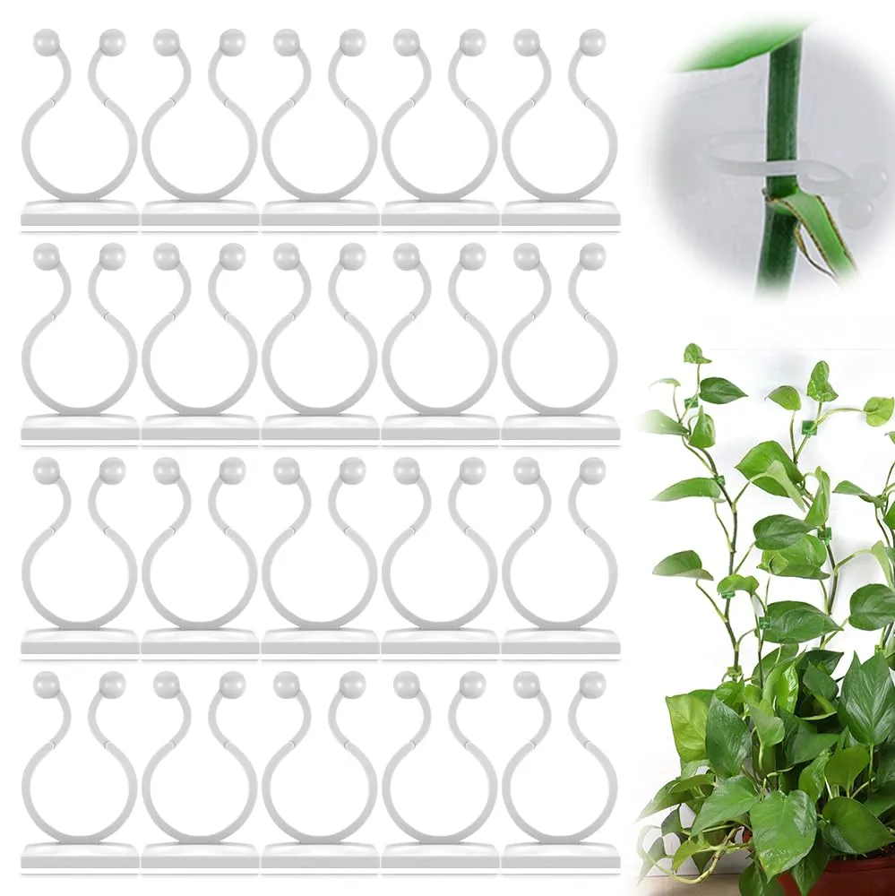 Plant Climbing Wall Fixture Clips, Plant Vine Wall Clips Wall Plant Support Hook, Invisible Plant Support Vine Clips, Plant Fixer Self-Adhesive Hook for Climbing Plants Indoor Outdoor (100, White)