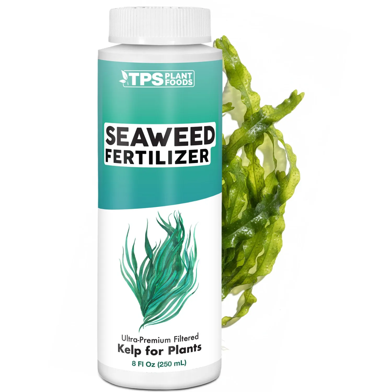 Seaweed Fertilizer – Organic Kelp Plant Food for All Plants, Boosts Nutrient Uptake for a Lush, Vibrant Garden, 8 oz
