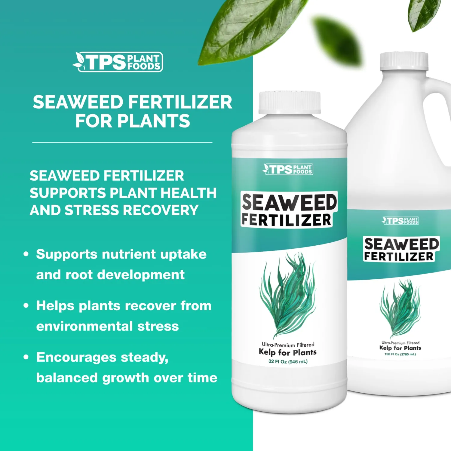 Seaweed Fertilizer – Organic Kelp Plant Food for All Plants, Boosts Nutrient Uptake for a Lush, Vibrant Garden, 8 oz
