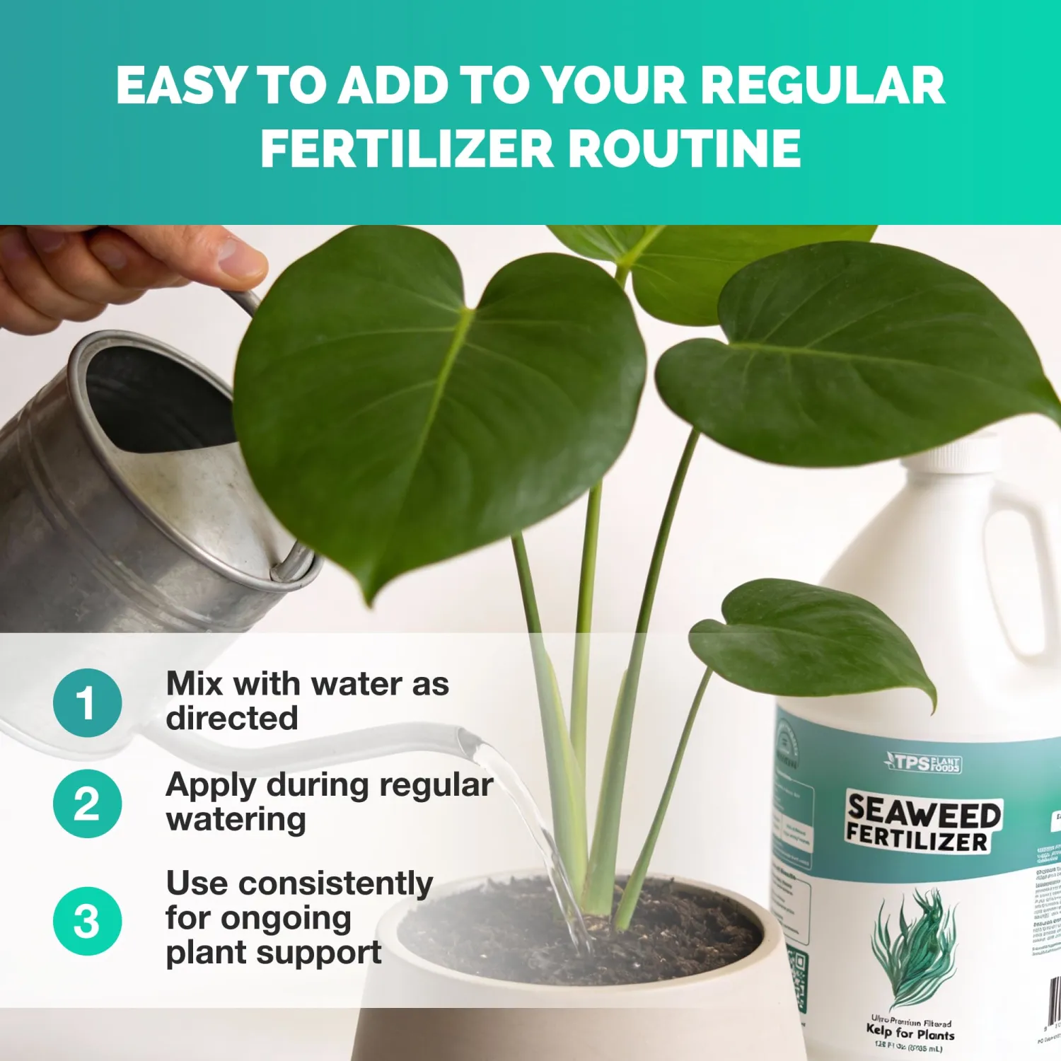 Seaweed Fertilizer – Organic Kelp Plant Food for All Plants, Boosts Nutrient Uptake for a Lush, Vibrant Garden, 8 oz