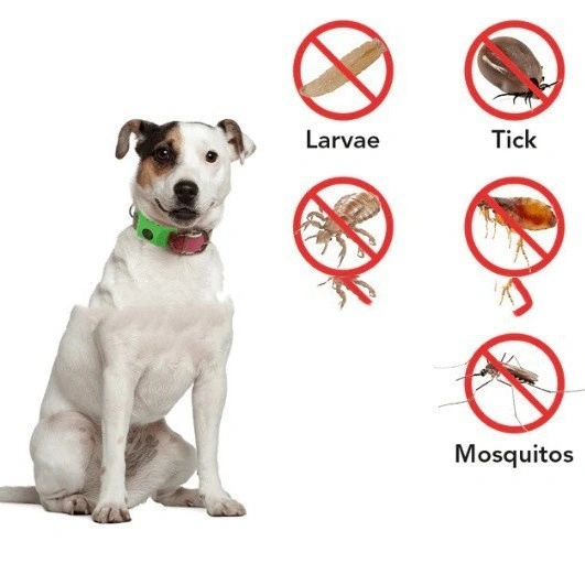 Flea Tick Tick Tick Collar