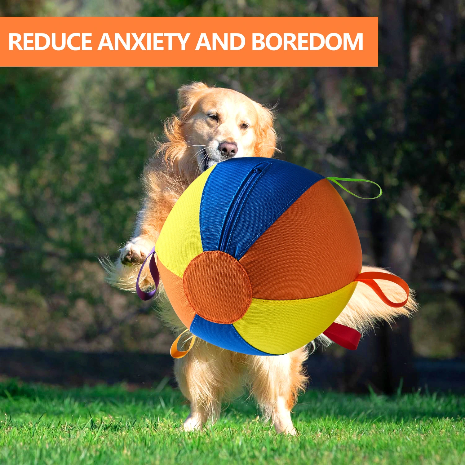 Complete Set Of Golden Retriever Chew-resistant Balls For Entertainment
