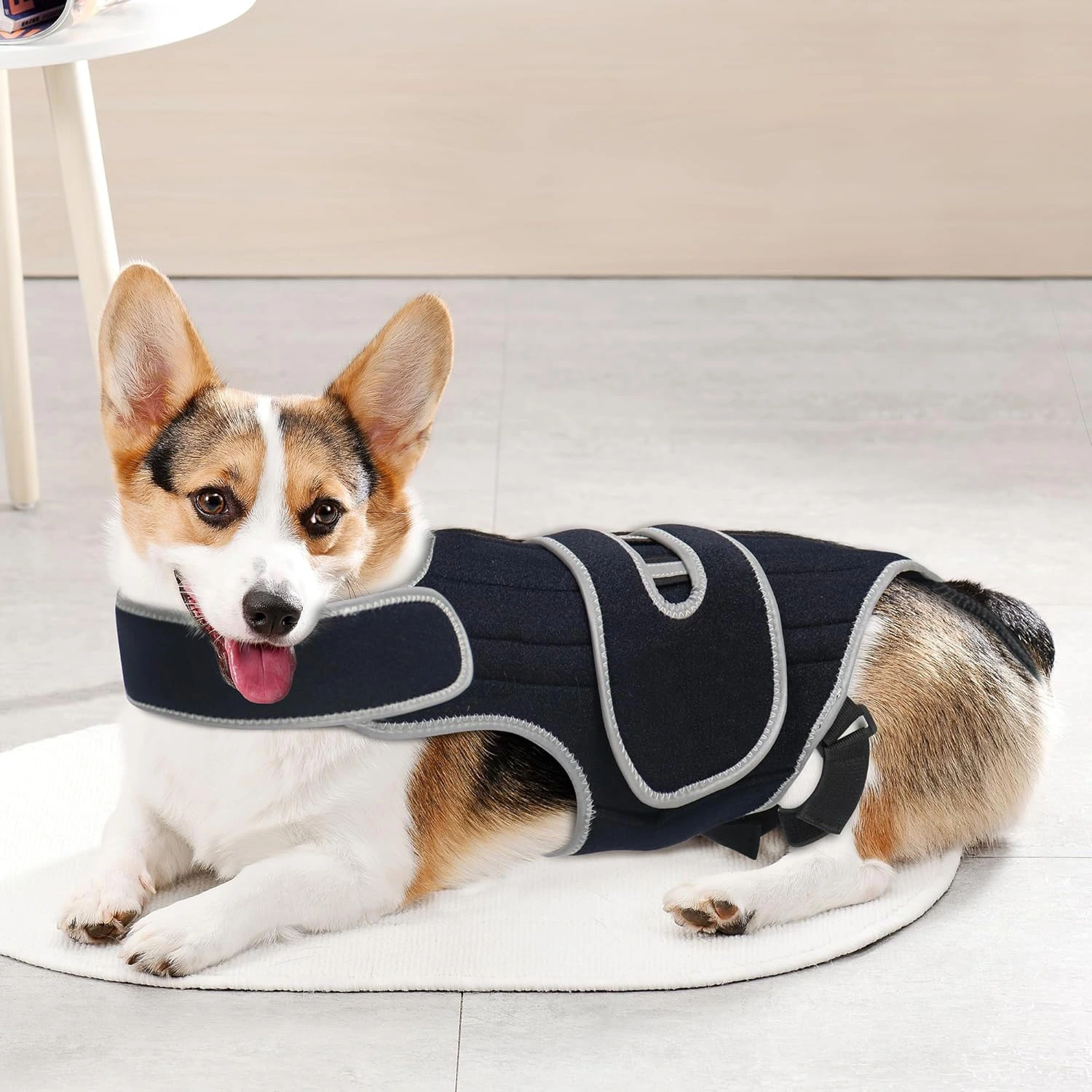 Dog Back Support Sling For Relieving Back Injuries And Fractures