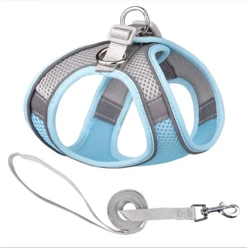 Pet traction rope-S-mixed color-breathable mesh-1 piece