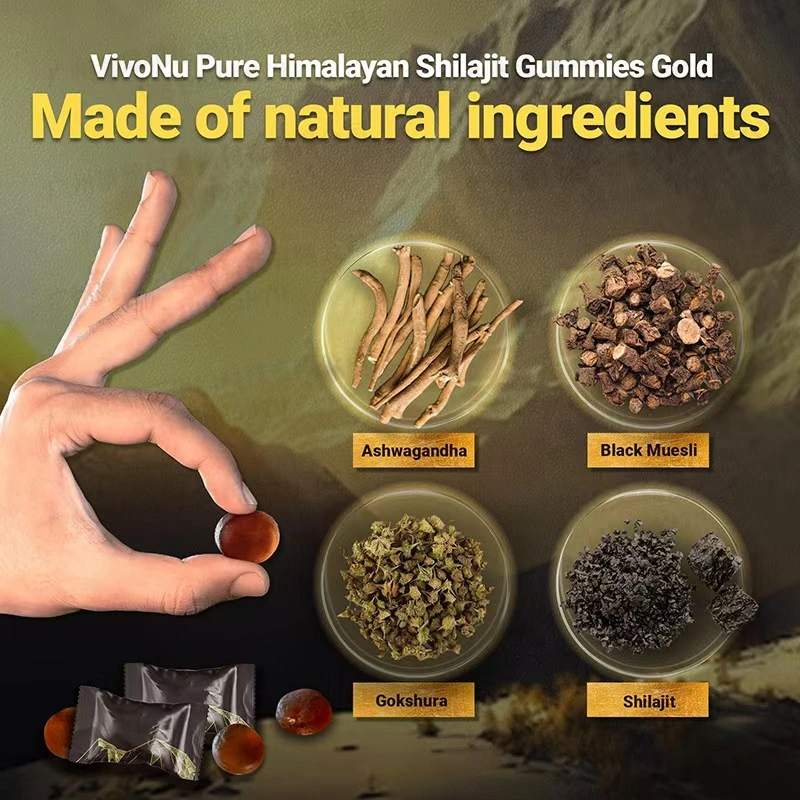 Kidney Support Shilajit Gummies