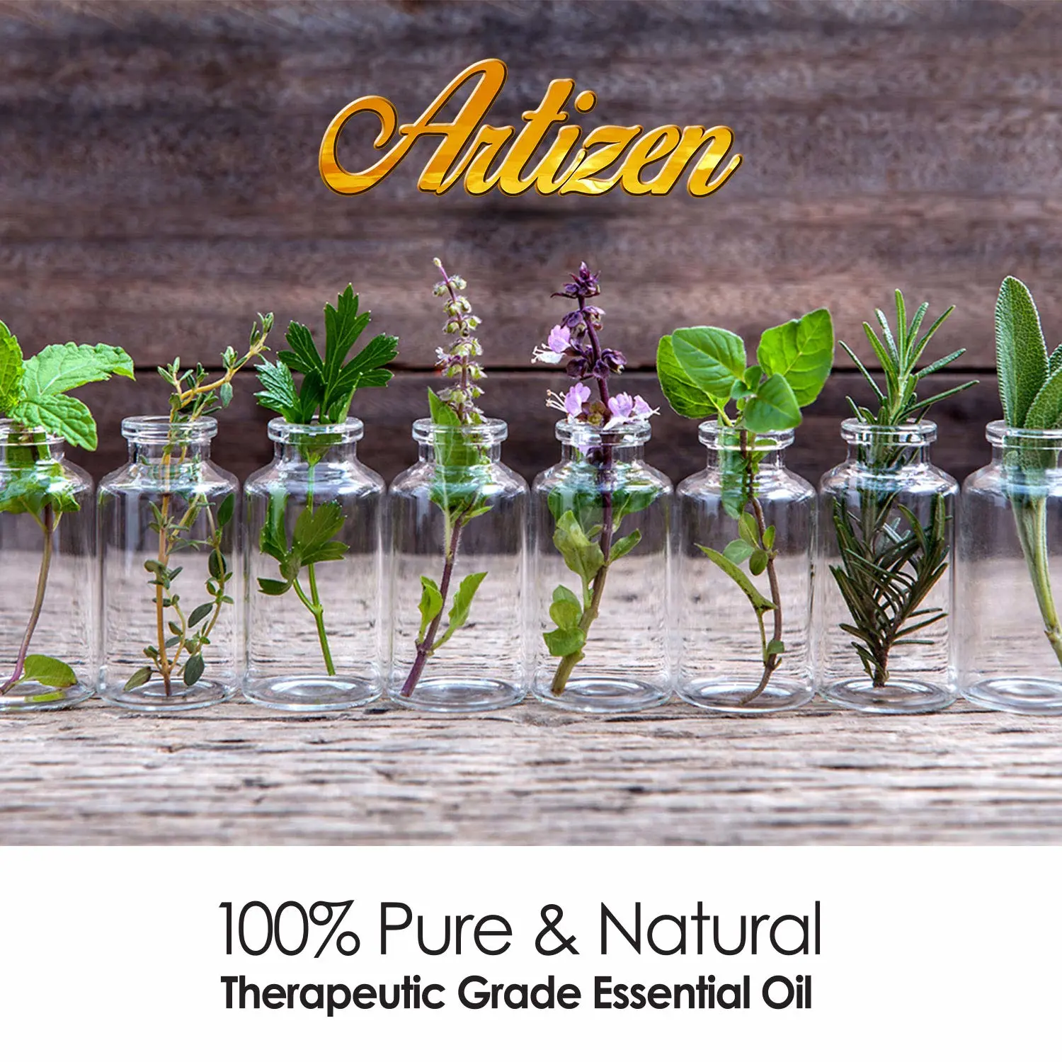 Artizen 2oz Oils - Cinnamon Essential Oil - 2 Fluid Ounces