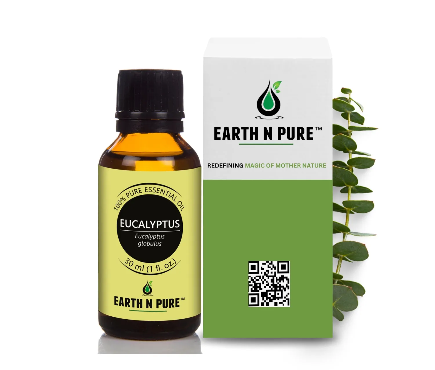 EARTH N PURE Eucalyptus Essential Oil (Nilgiri Oil) Steam Distilled, Undiluted, Natural, Therapeutic Grade 30 ML (Pack of 1) Transparent