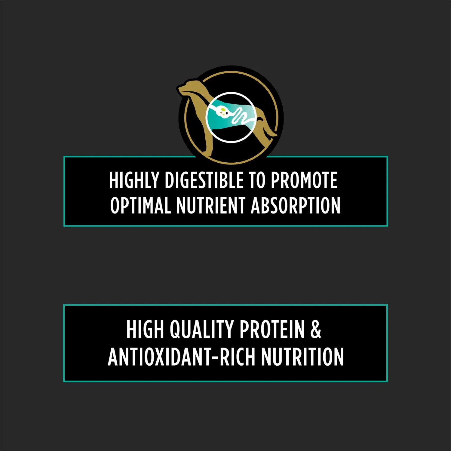 Pro Plan Veterinary Diets Purina EN Gastroenteric Low Fat Canine Formula Dog Food Dry Recipe - 6 lb. Bag