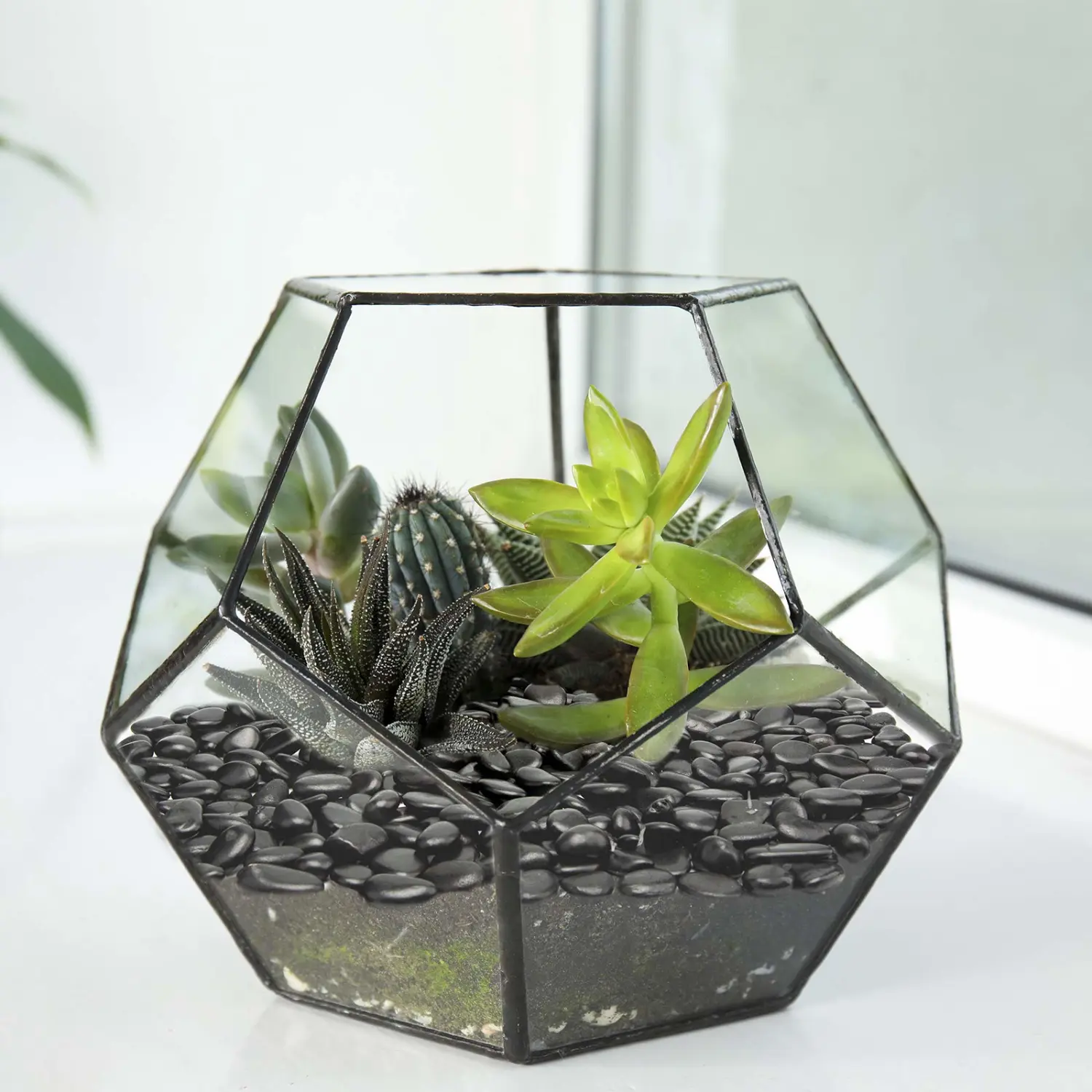 Black Small Pebbles - Decorative Gravel Rock Plant Stones,3/8" Natural Polished Stones Succulent Gravel,Pebbles Gravel for Bamboo Plants,Succulent,Home Decor,Landscaping,Vase Fillers.