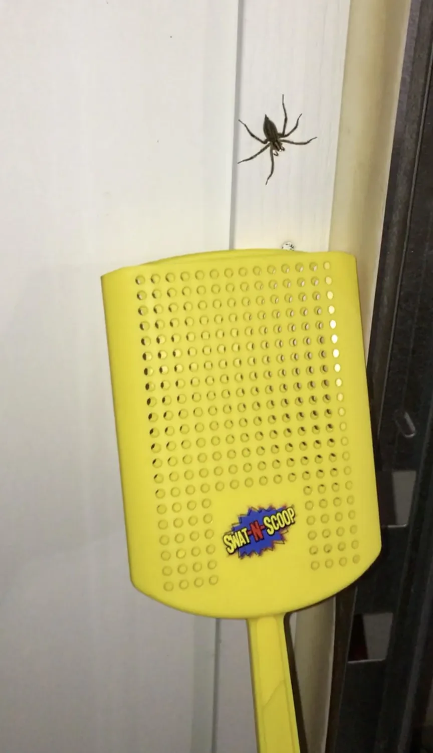 Heavy Duty Fly Swatter and Spider Catcher and Release (1, Yellow). Insect Fly Catchers for Inside Home. House Fly Swatter or Humane Bug Catcher with Built in Insect Scoop.