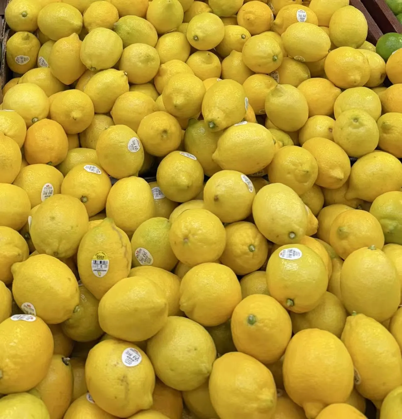 Fresh lemons, 8 Count