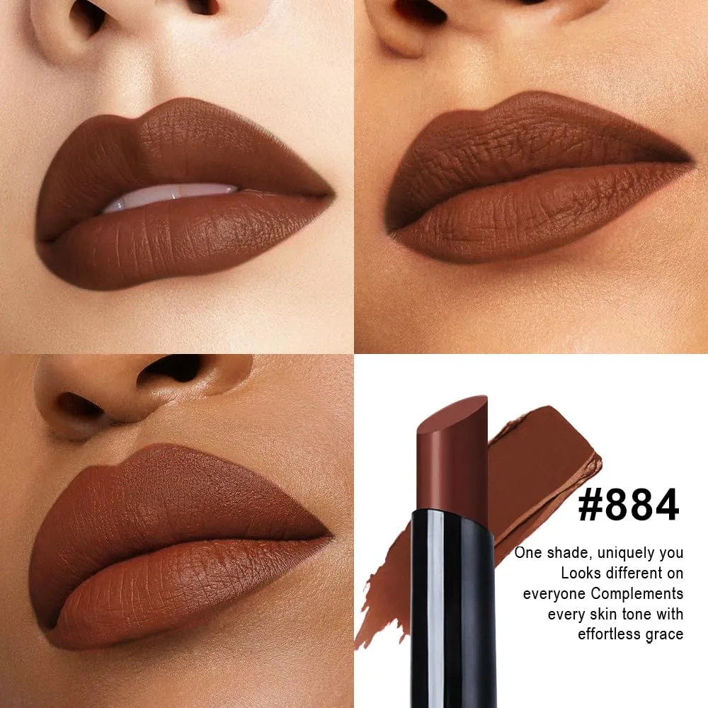 evpct Dark Brown Velvet Matte Lipstick, High Pigmented Slim Lipstick Long Lasting Waterproof for Women Gift, Velvet Silky Lip Stick Stain Color Makeup Blendable 24 Hours Original Makeup Labiales, 884#