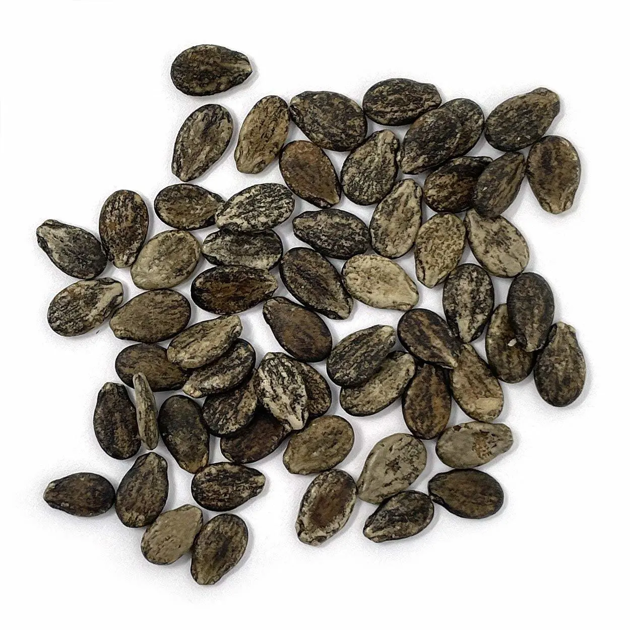 Organic Watermelon Seeds (Crimson Sweet) - Approx 12 Seeds - USDA Organic, Non-GMO, Open Pollinated, Heirloom, USA Origin (Pack of 2)