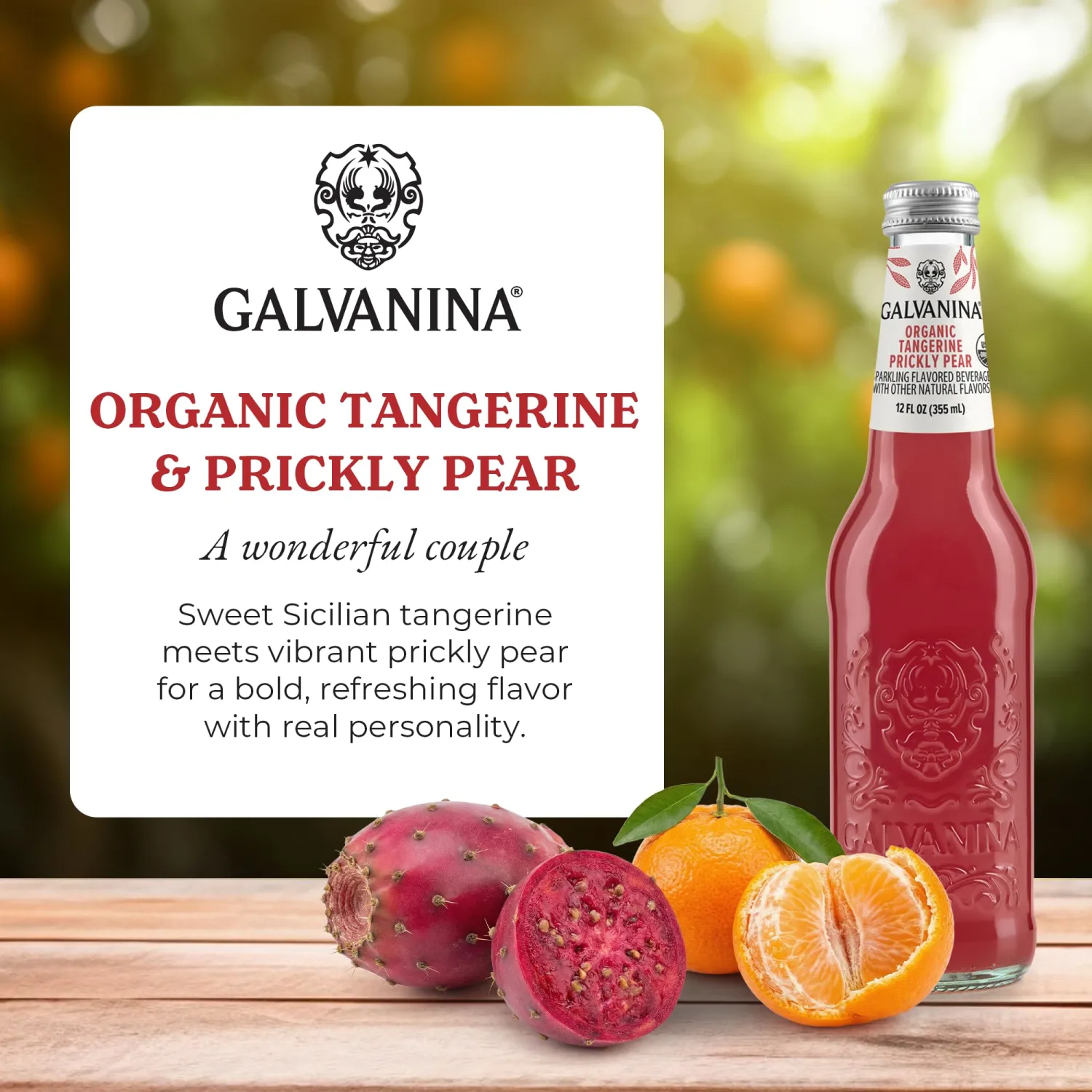 Galvanina Tangerine & Prickly Pear – Premium Organic Italian Sparkling Soda, 12 fl oz Glass Bottle (Pack of 1) | Bright Citrus Zest with Smooth Prickly Pear, Perfect for Spritzes & Sipping.