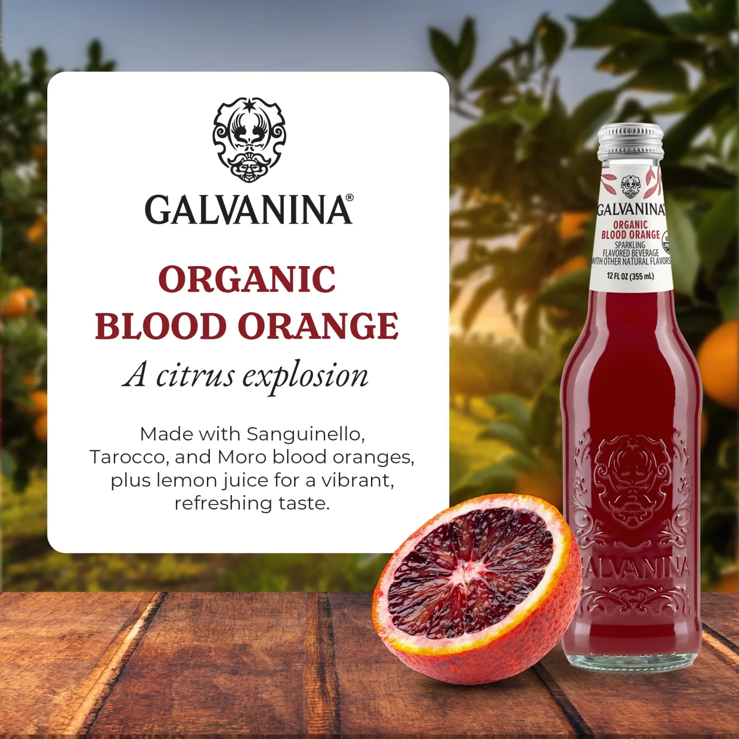 Galvanina Blood Orange – Premium Organic Italian Sparkling Soda, 12 fl oz Glass Bottle (Pack of 1) | Sanguinello, Tarocco & Moro Blood Oranges with Lemon.