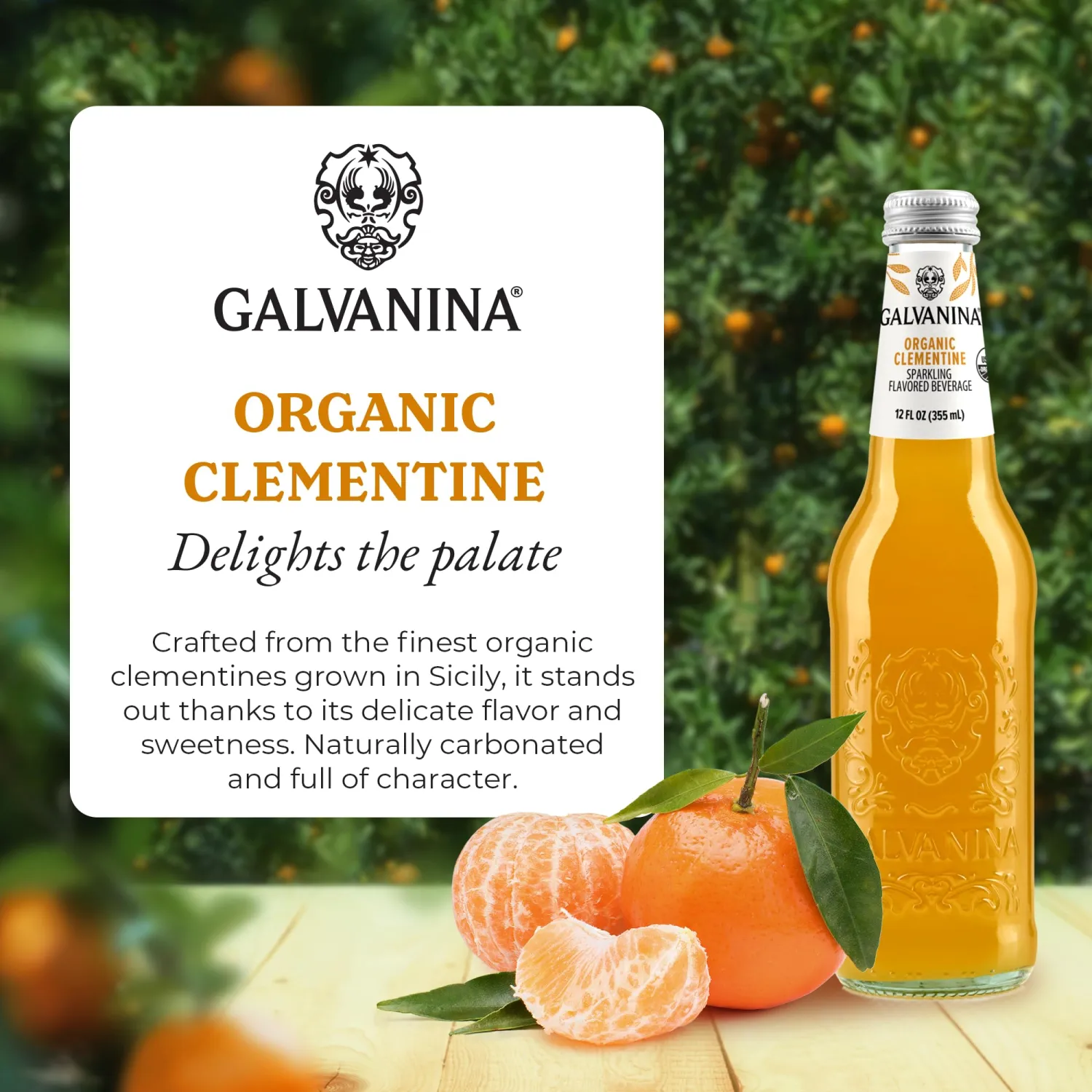 Galvanina Clementine – Premium Organic Italian Sparkling Soda, 12 fl oz Glass Bottle (Pack of 1) | Sweet Southern-Italian Clementine Citrus Soda.