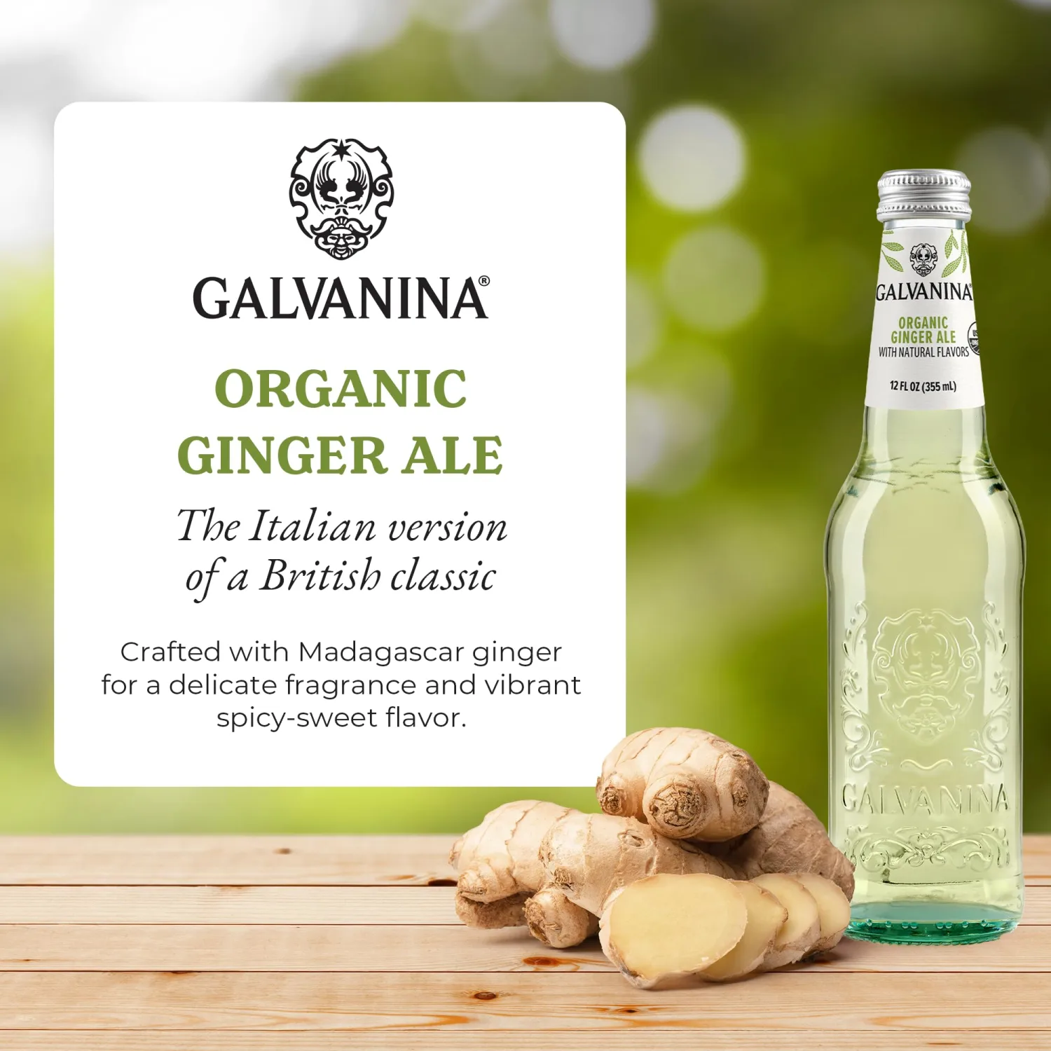 Galvanina Ginger Ale – Premium Organic Italian Sparkling Soda, 12 fl oz Glass Bottle (Pack of 1) | Delicate Aroma with Piquant Ginger, Clean Refreshing Finish.