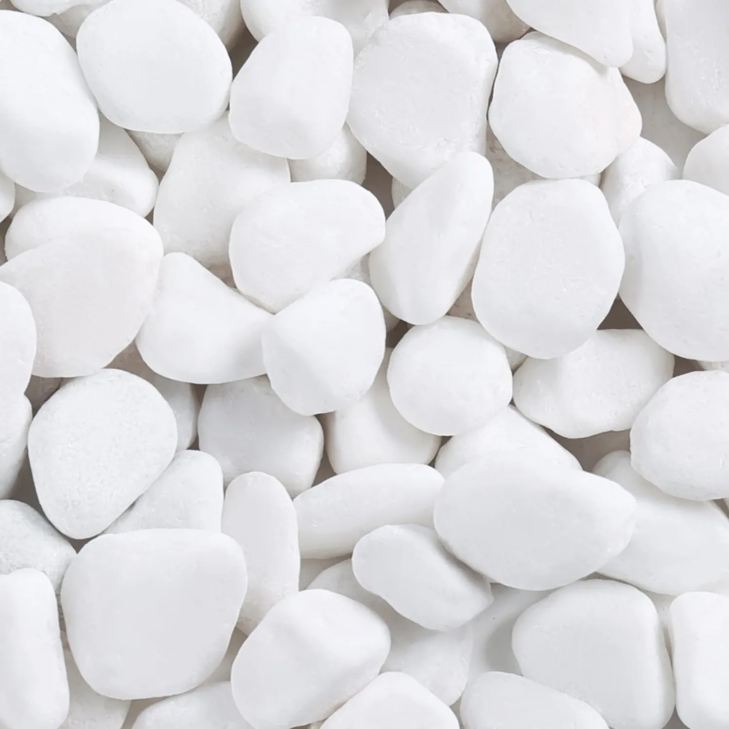 SIDONG 5 lbs White River Rocks, 1.2-2 Inches Pebbles for Indoor Plants, Aquarium Rocks Used in Fish Tank, Decorative Stones for Plants, Vases, Home Décor, Crafting, Garden Landscaping