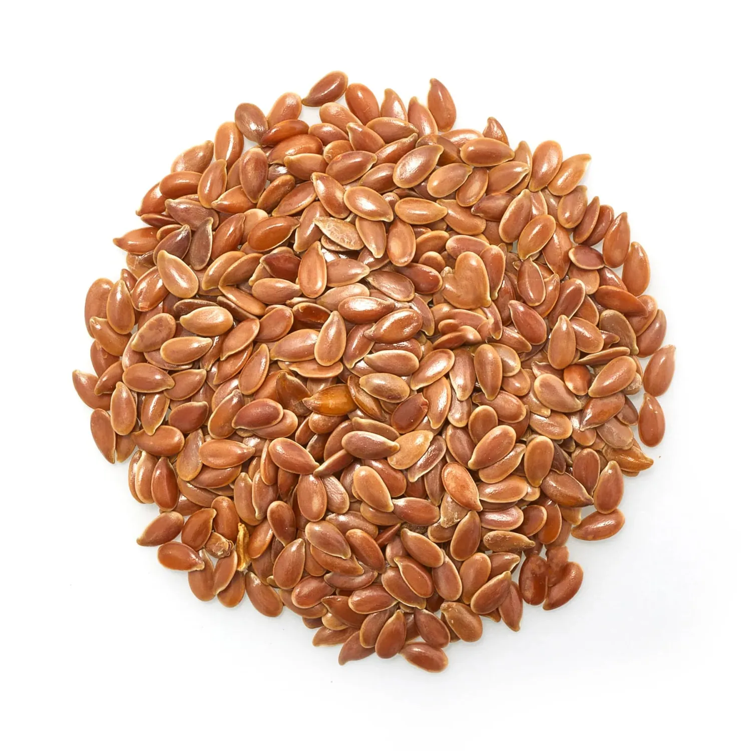 Elan Organic Flax Seed, 9 oz, Whole Seeds, Raw Seeds, Non-GMO, Vegan, Gluten-Free, Kosher, High in Fiber, Gels Easily