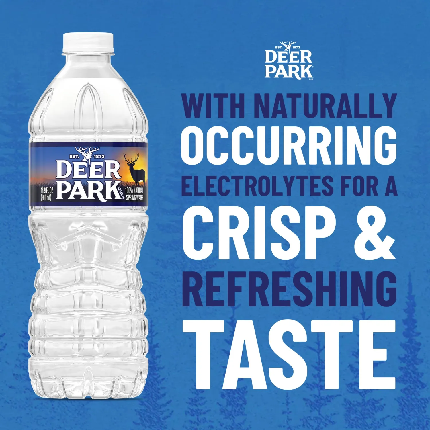Deer Park Spring Water, 12 Pack - Crisp Refreshing Taste - 16.9 Fl Oz