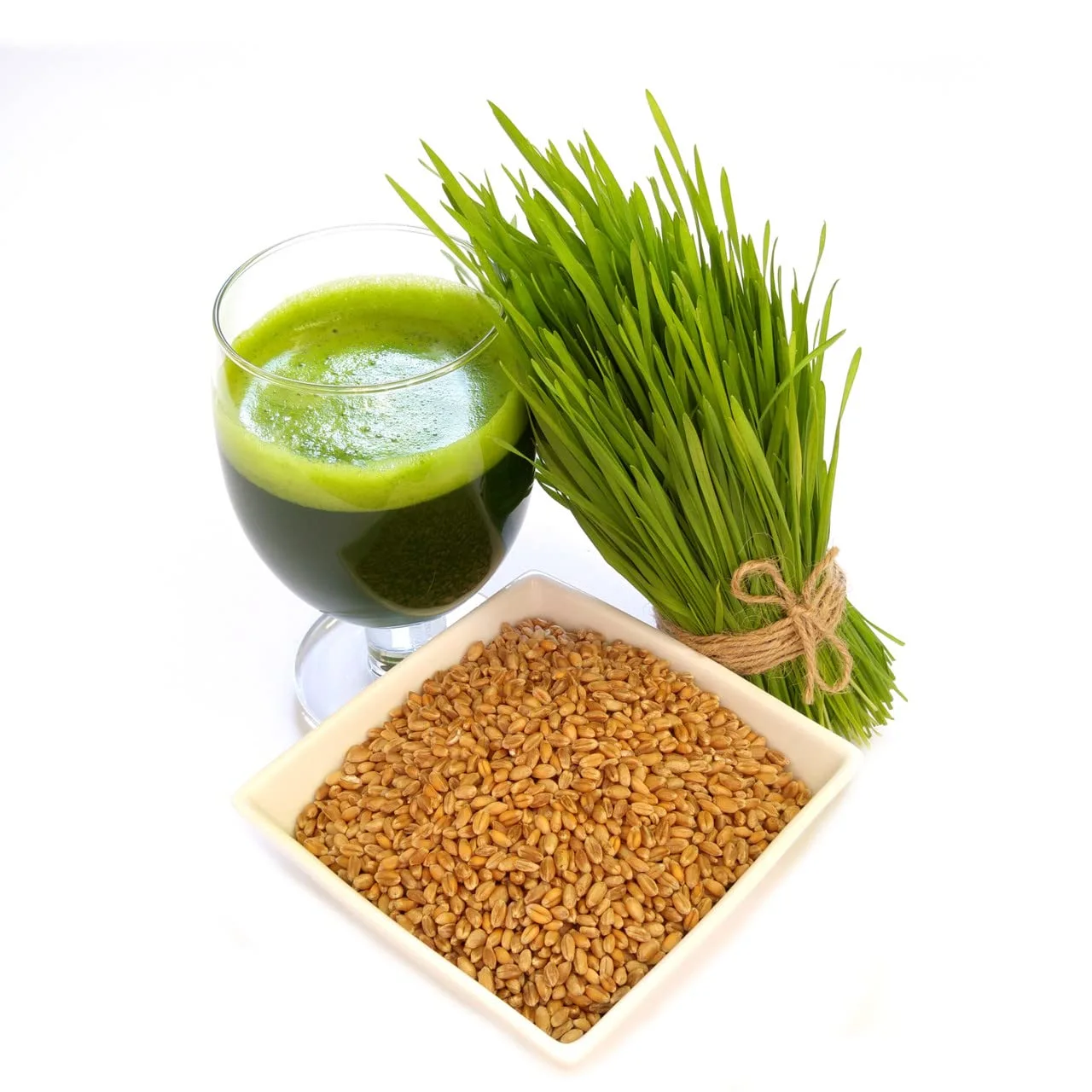 Todd's Seeds - Hard Red Wheatgrass - 5 Lb's - Sprouting Wheat Grass Seeds for Sale - Plant & Grow Wheatgrass, Flour, Grain & Bread - Wheatgrass Juice - Excellent Germination - Sprouting Seeds - Sprouted Wheat