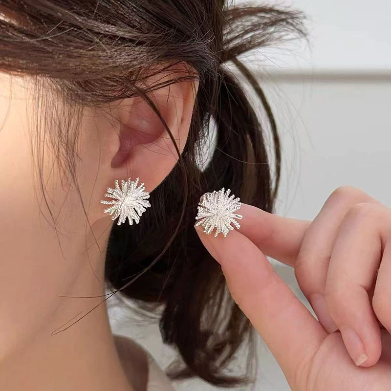 Silver Metal Earrings For Women, Niche Design High-end Stud Earrings, 2026 New Trendy Elegant Versatile Jewelry