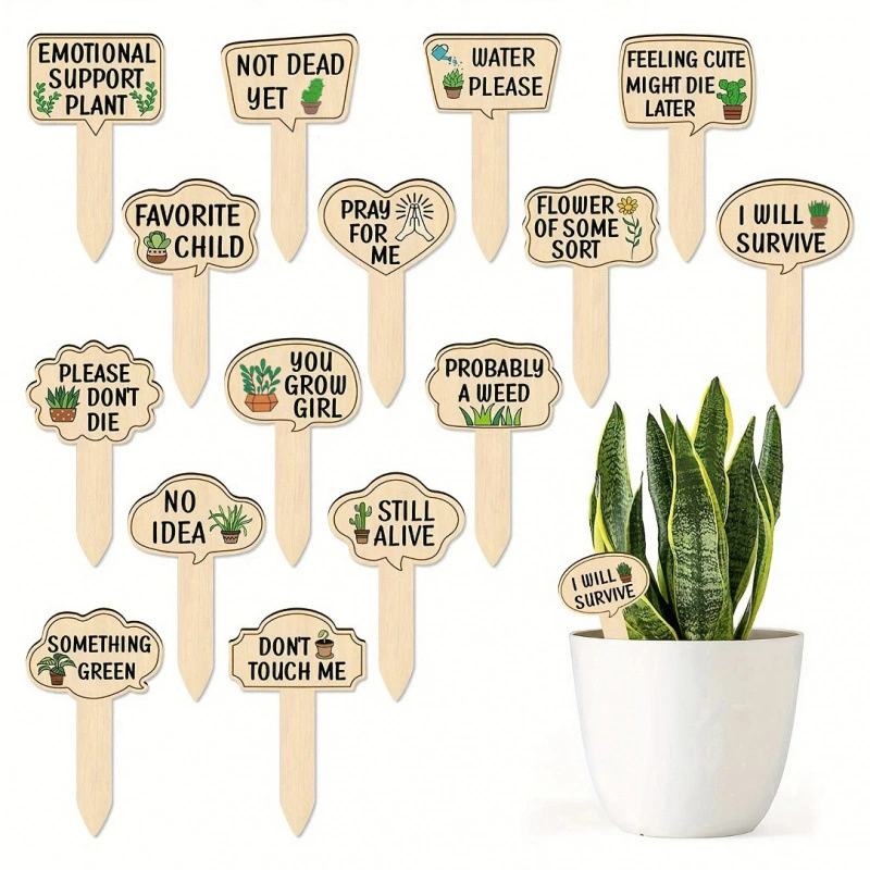 Colorful Decorative Wooden Signs For Plants Succulents