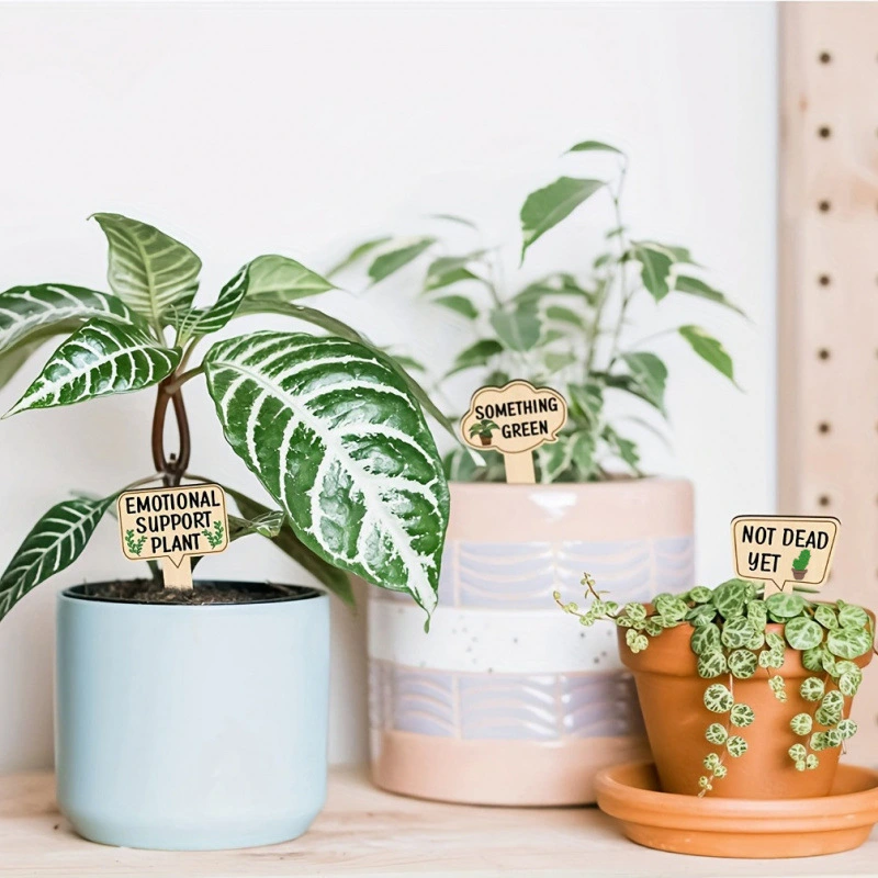 Colorful Decorative Wooden Signs For Plants Succulents