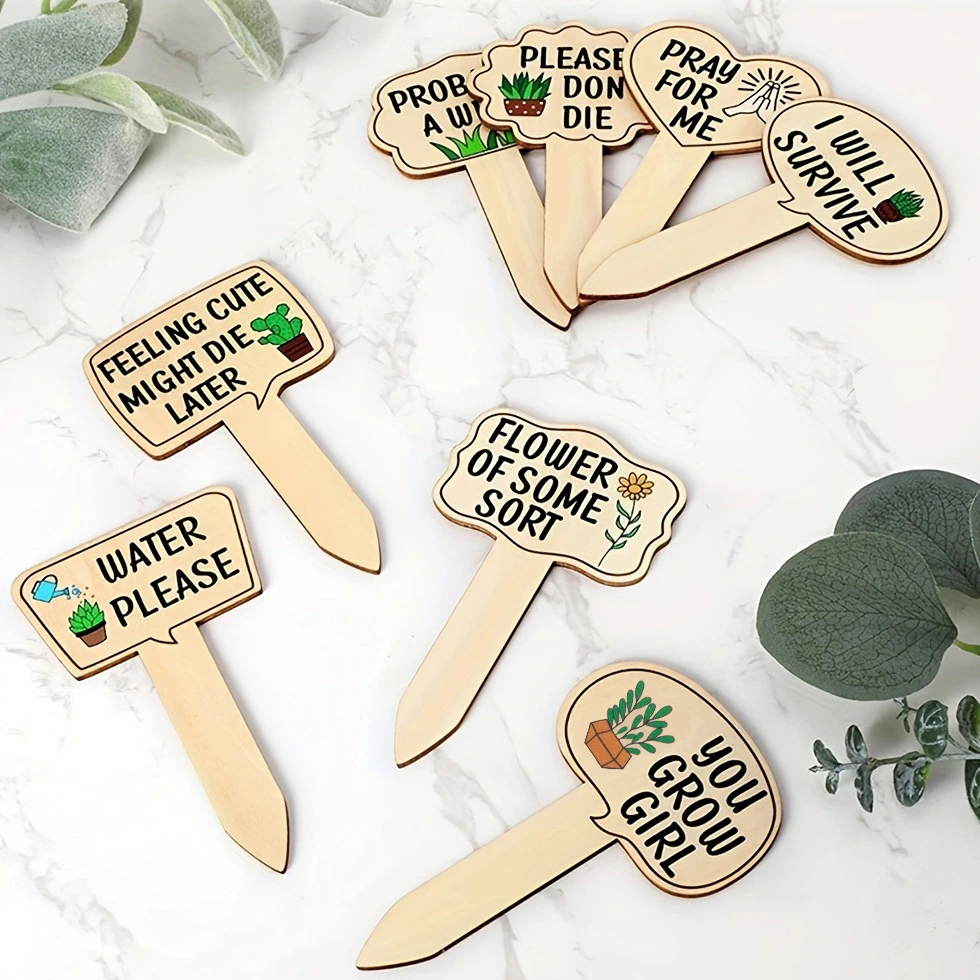 Colorful Decorative Wooden Signs For Plants Succulents