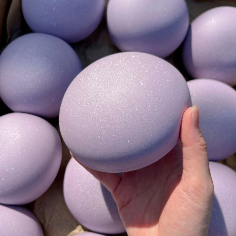 Creative Taro Bun Myasthenia Slow-Rebound Toy