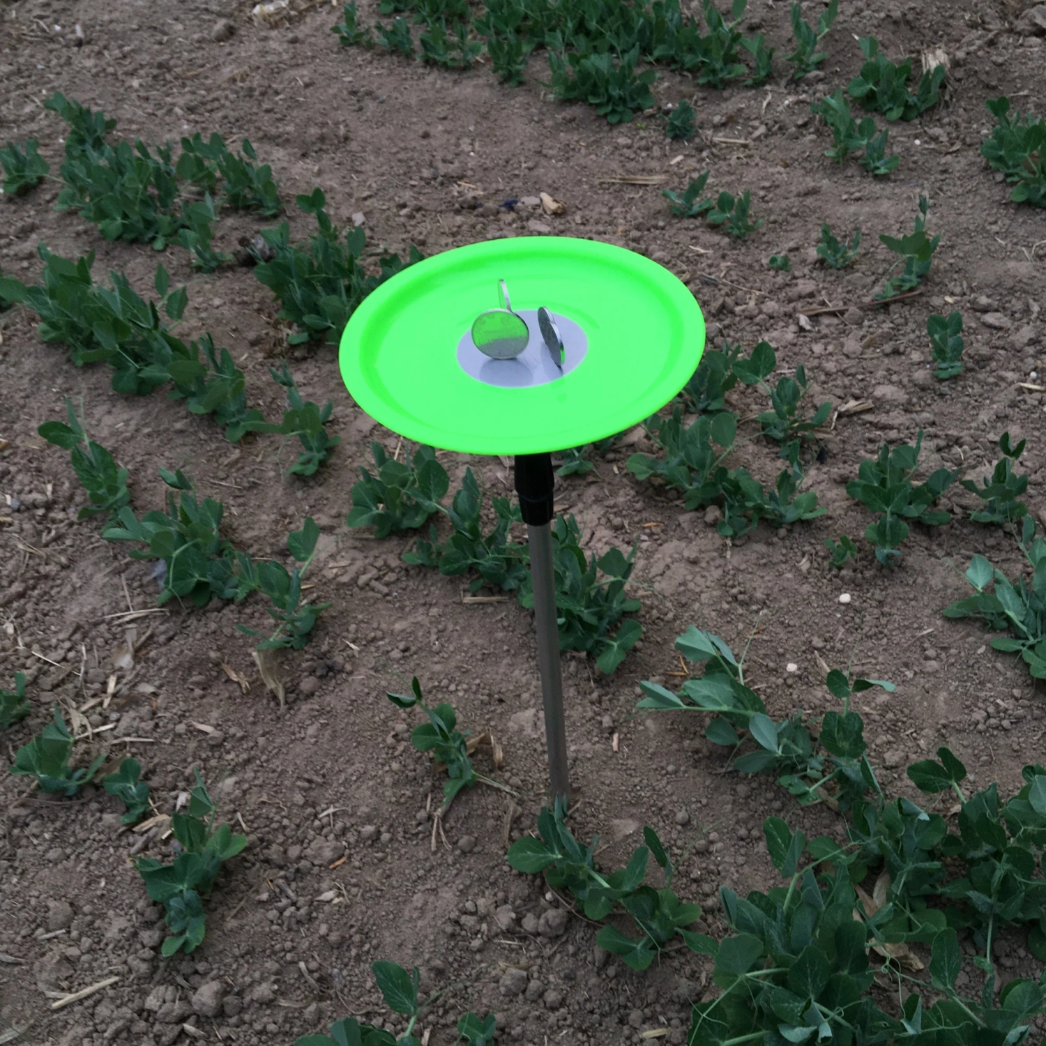 Simple Strong Magnet Bait Tray