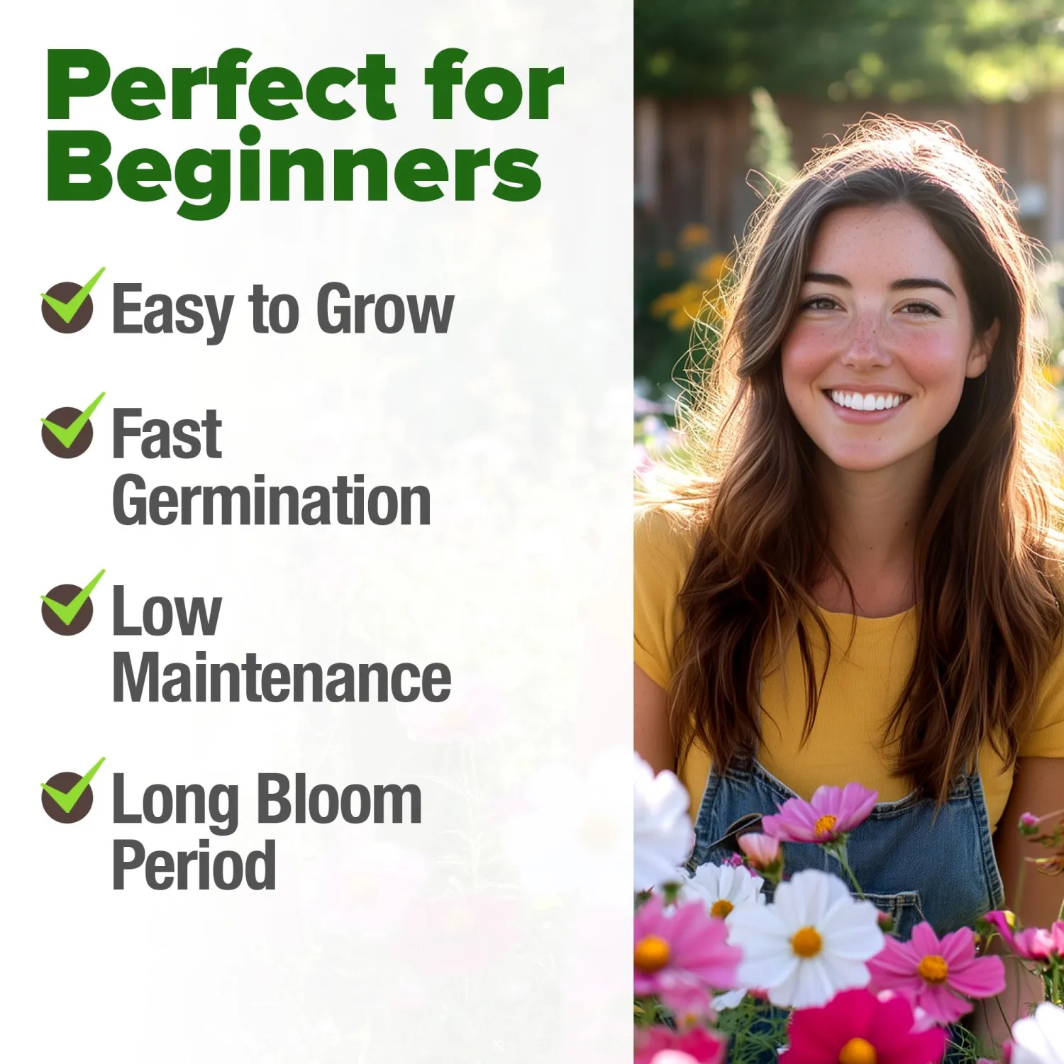 HOME GROWN Cosmos Flower Seeds Bulk Pack for 2026 (1.8 oz) 8,000+ Heirloom Annual Wildflower Seeds Pollinator-Friendly Mix for Pollinators & Outdoor Gardens