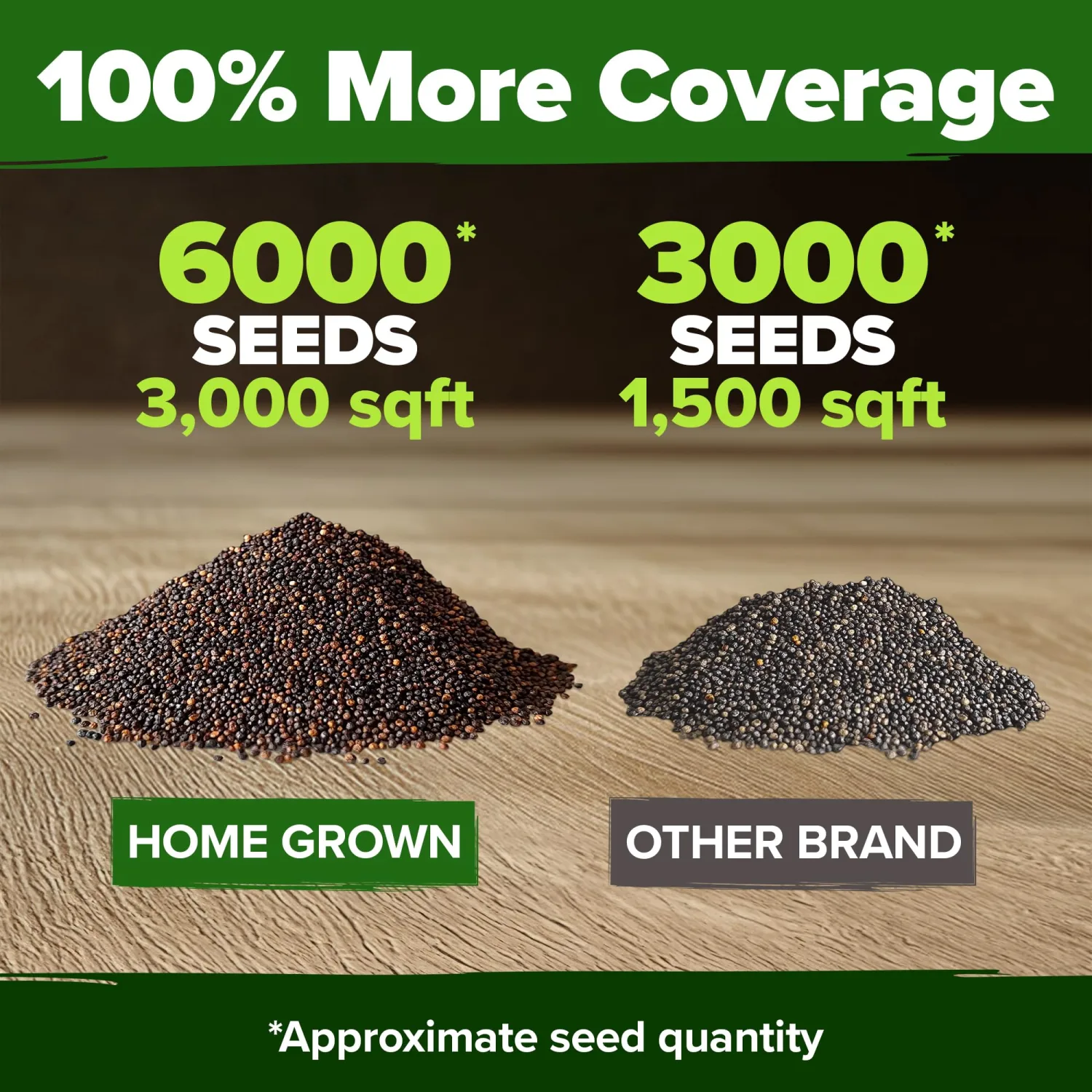 HOME GROWN American Legion Red Poppy Seeds - 6,000 Vibrant Wildflower Seeds for Planting Outdoors - Annual Poppy Flowers - Memorial Garden & Pollinator Friendly (Papaver rhoeas)
