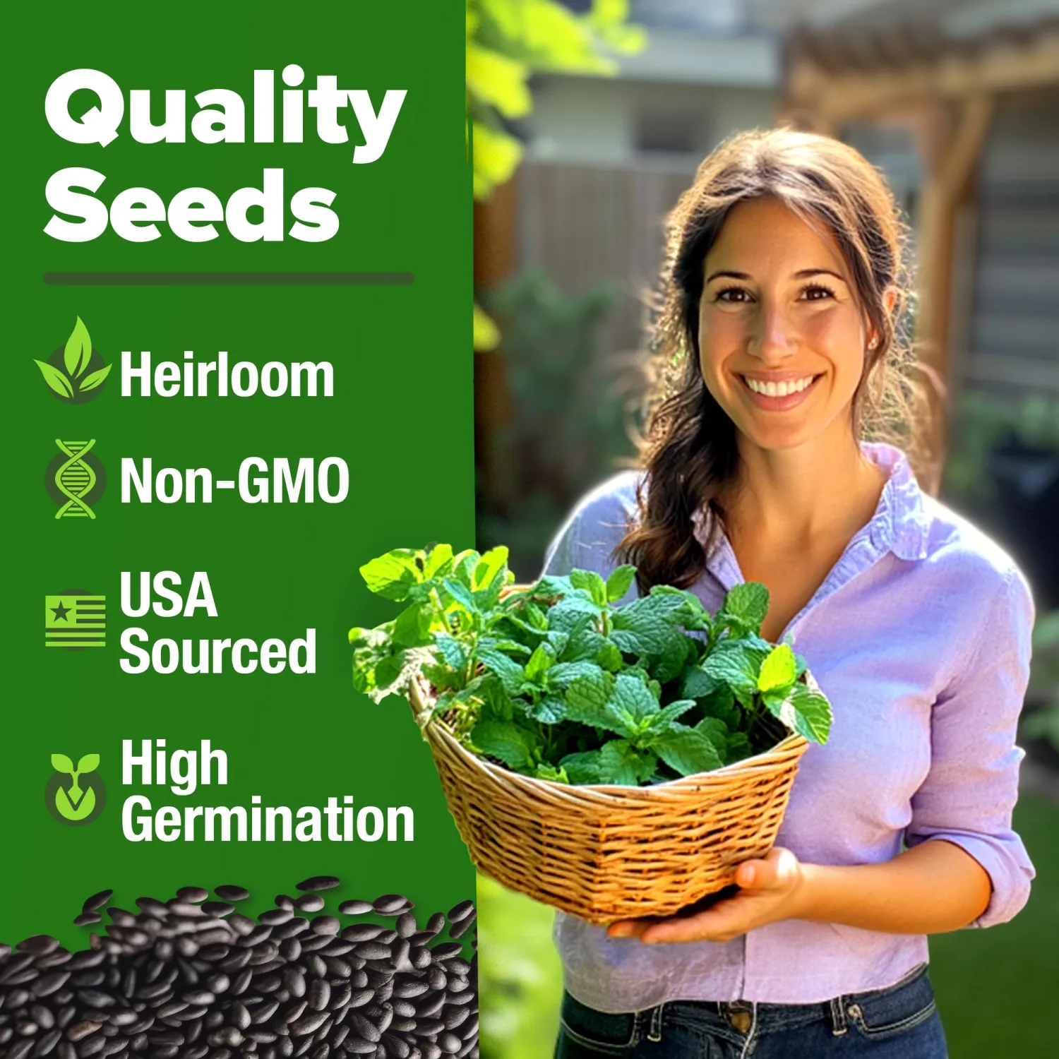 HOME GROWN Non GMO Peppermint Seeds Pack 2,370 Heirloom Mint Seeds for Planting. Grow Peppermint Plants in Your Herb Garden Indoors or Outdoors (Mentha x piperita)
