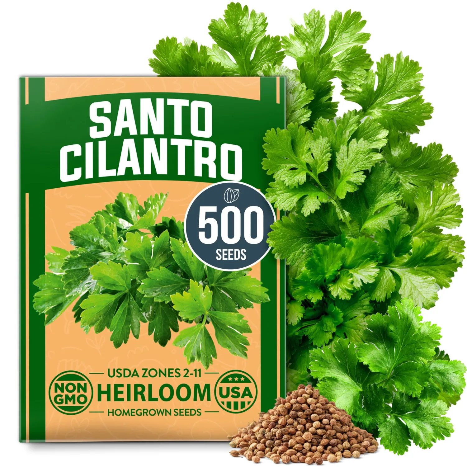 HOME GROWN Non GMO 500+ Cilantro Seeds (Fast Growing) Heirloom Coriander Seeds for Planting Indoors & Outdoors Santo Cilantro Herb for Kitchen Garden, High Germination