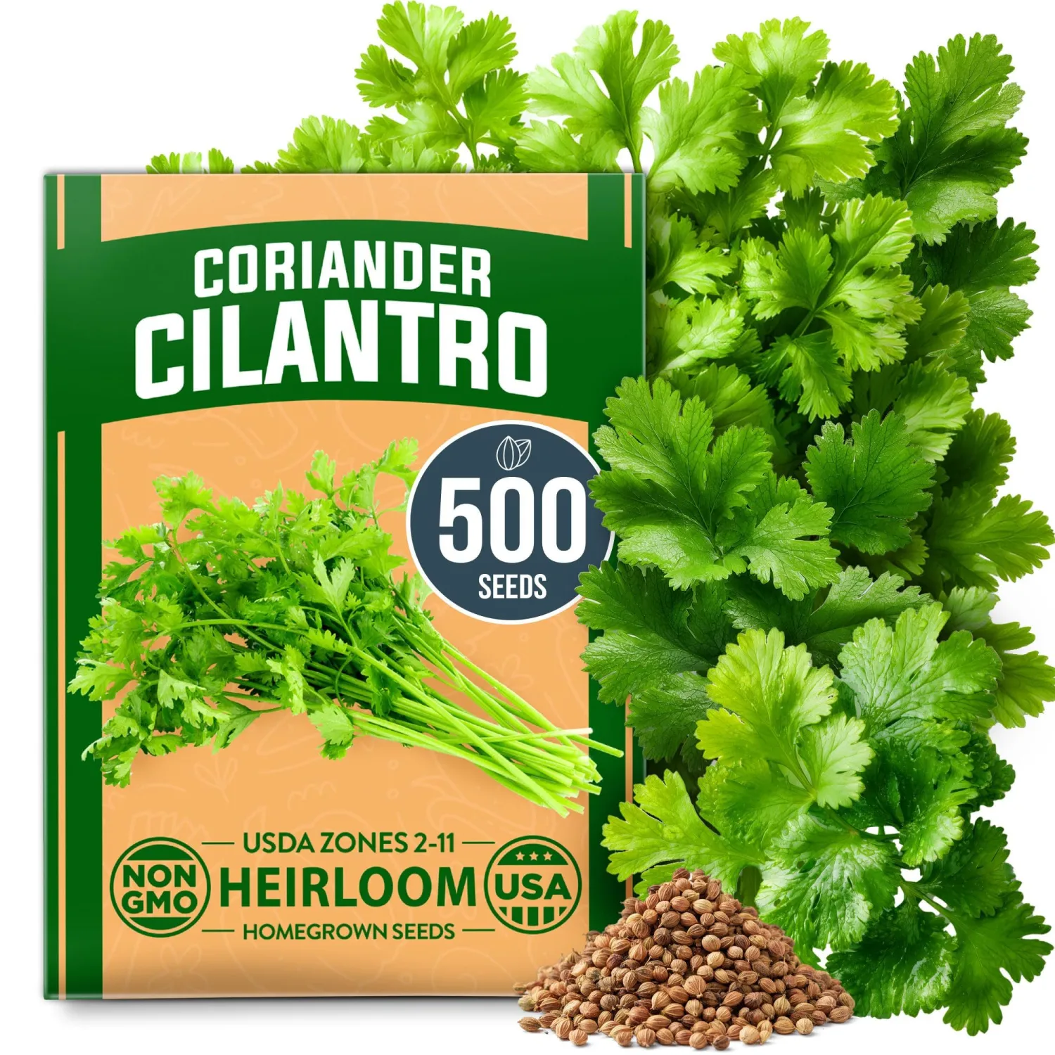 HOME GROWN Non GMO 500+ Cilantro Seeds for Planting Indoors or Outdoors - Heirloom Coriander Seeds, Grow Your Own Cilantro Plant - Culinary Herb Seeds for Your Herb Garden