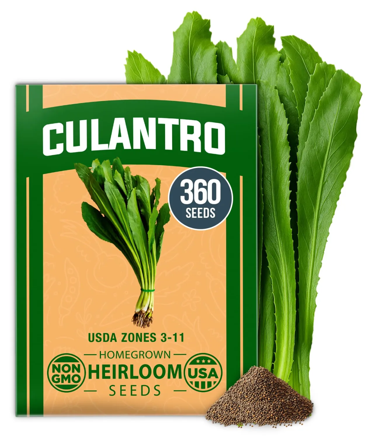 HOME GROWN Non GMO Culantro Seeds 360 Herb Seeds for Planting Non-GMO Heirloom Variety, Robust Flavor, Thrives in Heat, Grows Indoors or Outdoors, Cilantro Substitute (Eryngium Foetidum)
