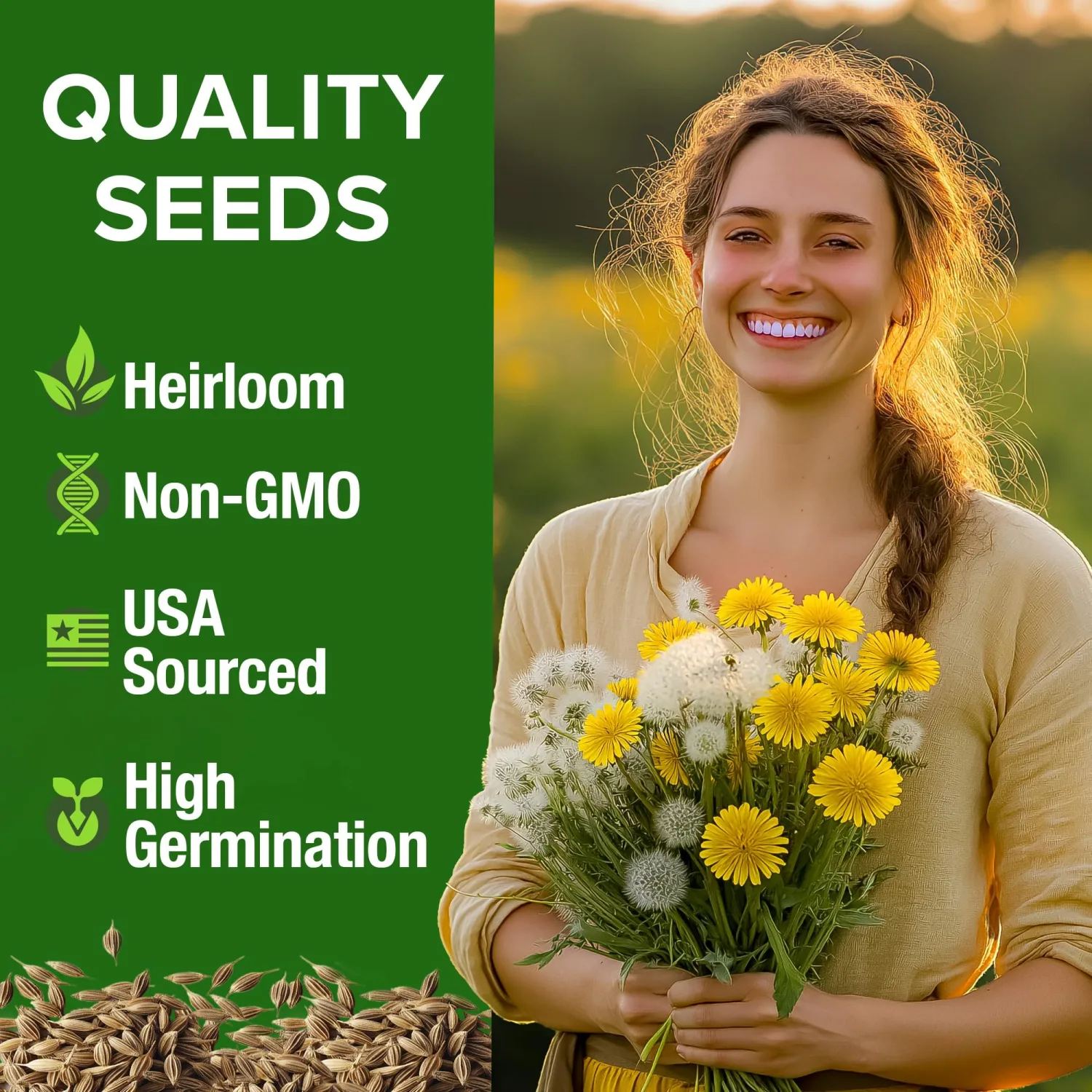 HOME GROWN Dandelion Seeds for Planting 600 Heirloom Medicinal Herb Seeds Non GMO Grow Edible Leaves and Flowers for Remedies or Wildlife (Taraxacum officinale)