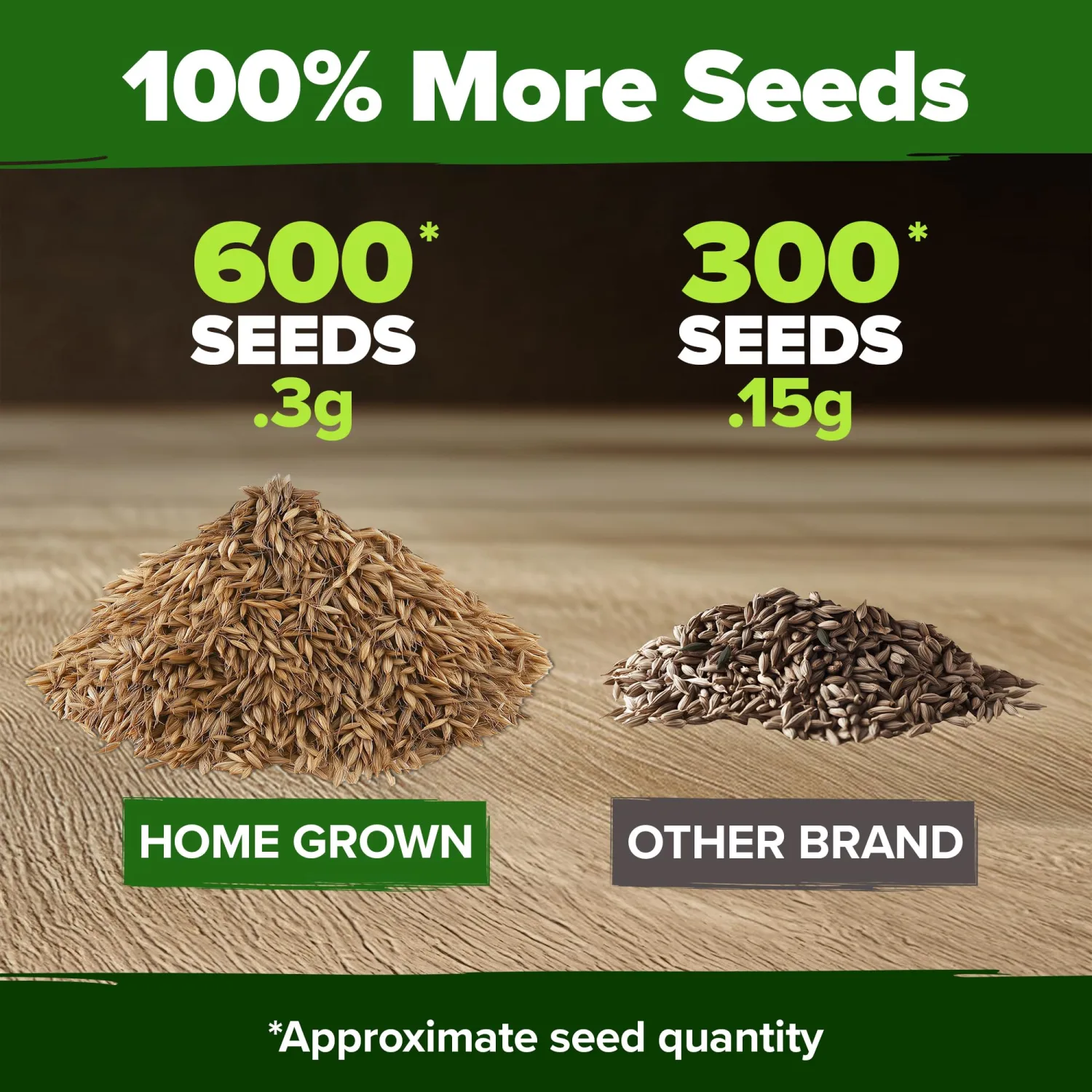 HOME GROWN Dandelion Seeds for Planting 600 Heirloom Medicinal Herb Seeds Non GMO Grow Edible Leaves and Flowers for Remedies or Wildlife (Taraxacum officinale)