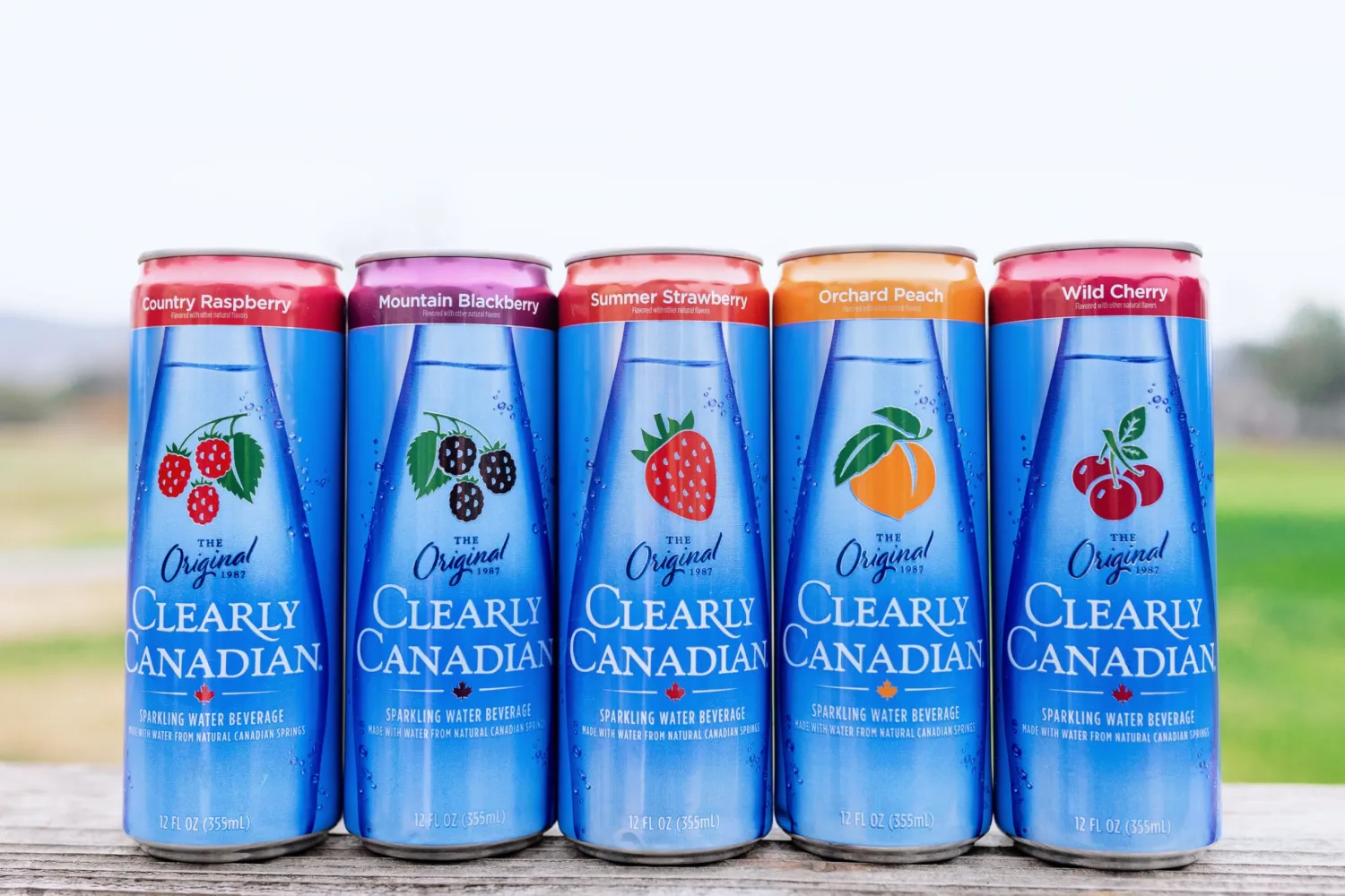 Clearly Canadian Orchard Peach 6pk Cans