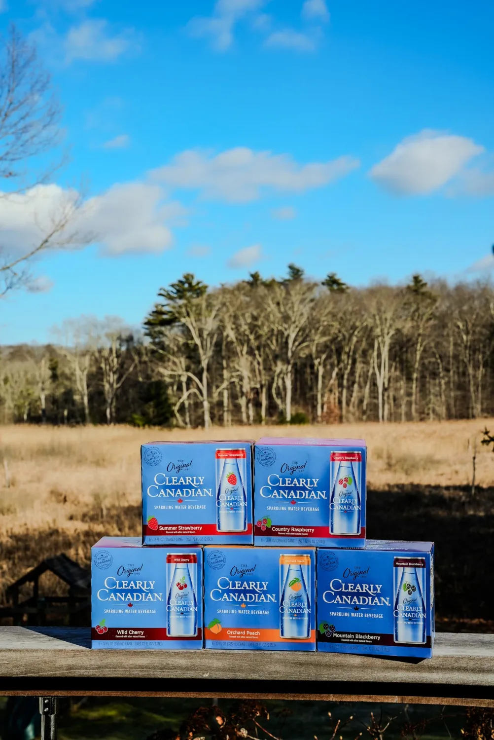 Clearly Canadian Orchard Peach 6pk Cans