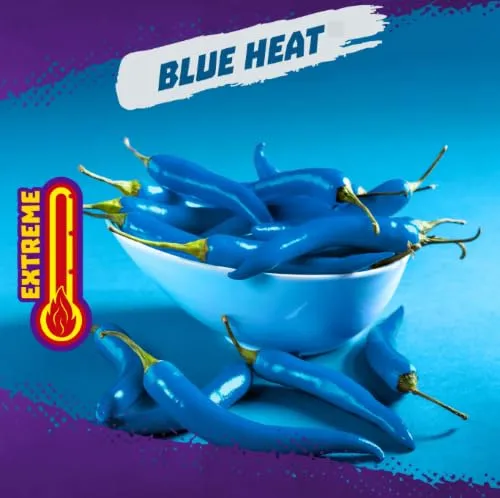 Takis, Tortilla Chips Blue Heat Extreme, 3.25 Ounce (Pack of 4)