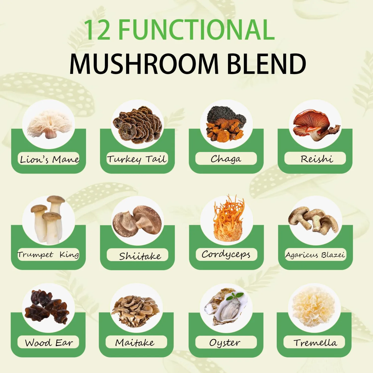 Mushroom Matcha with 12 Mushrooms with Lion's Mane, Chaga and Probiotics, Ceremonial Grade Matcha Powder for Focus, Digestion & Immunity - 30 Servings