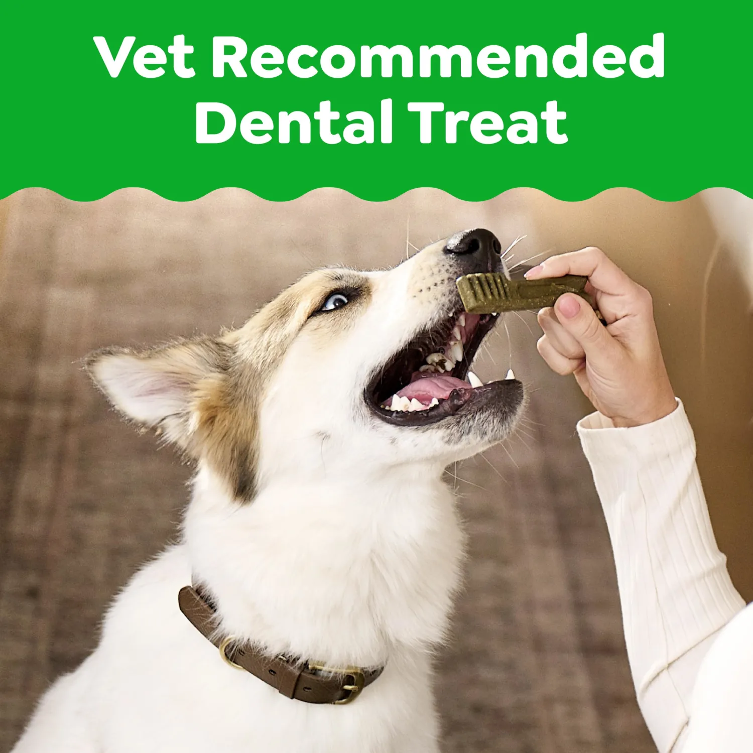 Greenies Veterinarian-Recommended Adult Natural Dental Dog Treats Regular Size, Dog Dental Chews, Original Flavor, 3 oz. Pack, 3 Count