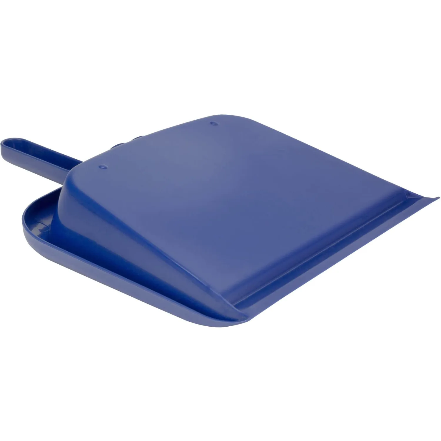 SPARTA Handheld Dustpan with Handle, Cleaning Essentials for Home and Commercial Use, 10", Blue