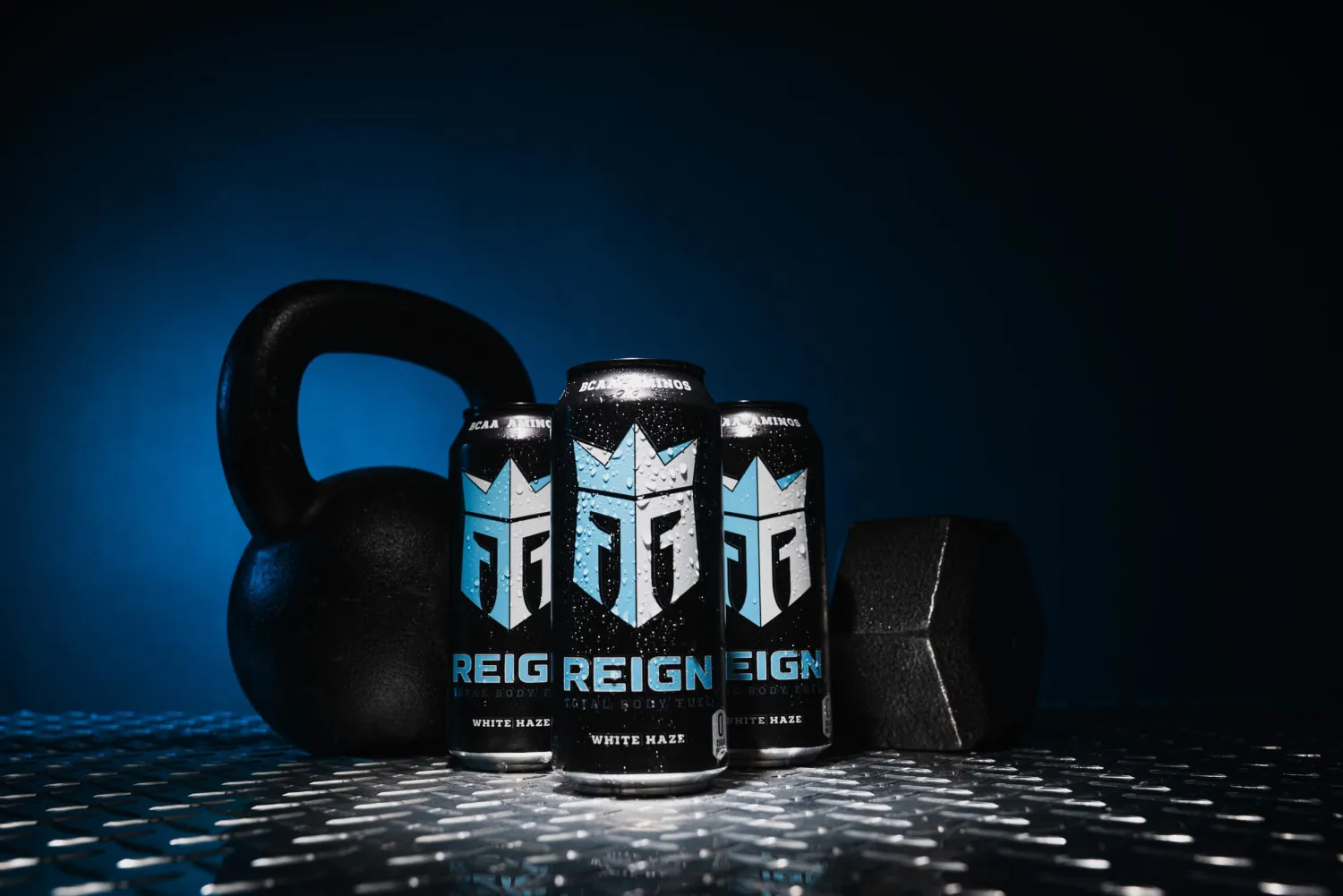Reign Total Body Fuel, White Haze, Fitness & Performance Drink, 16 Fl Oz (Pack of 1)