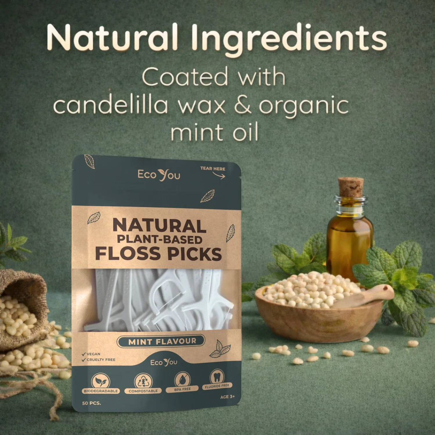Biodegradable Floss Picks | 50 Count (1 Pack) | Mint Flavor, Candelilla Wax | PFAs Free | Sustainable & Reusable | Vegan & Cruelty-Free | Eco Floss Picks